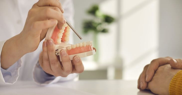 Dentist explaining to a patient open bite teeth treatment using a dental model.