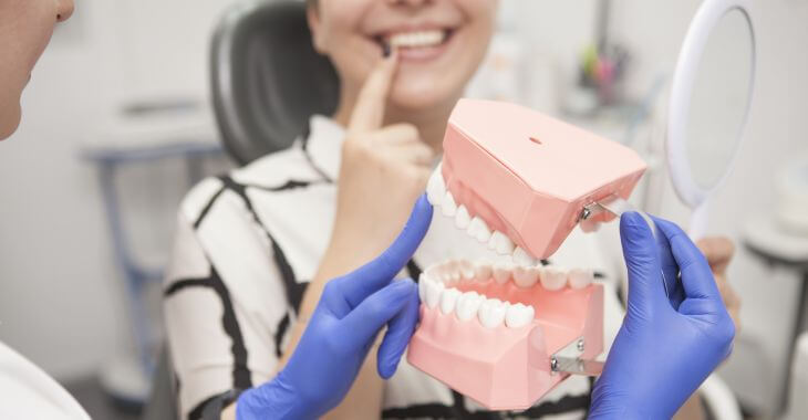 A dentist with a dental model explaining teeth replacement options to a woman patient.