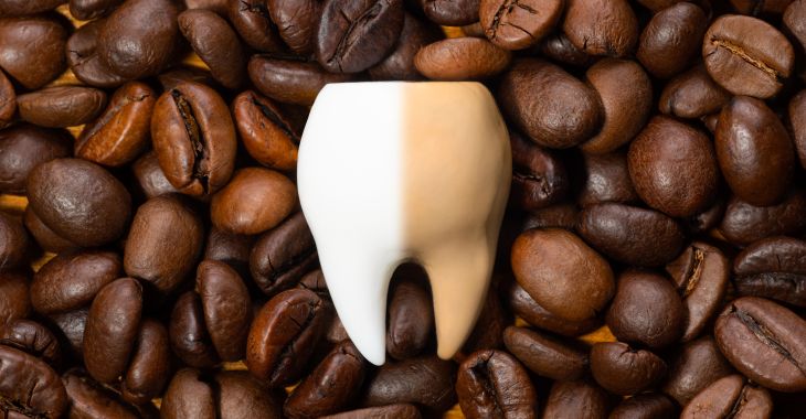 Large half-white and half-brown tooth on a pile of roasted coffee beans.