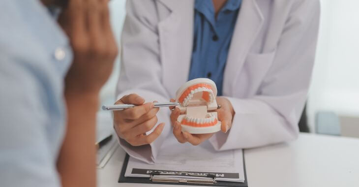 A dentist with a dental model explaining the procedure to a patient